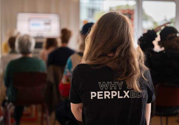 (c) Sarah Vanheuverzwijn - PERPLX
